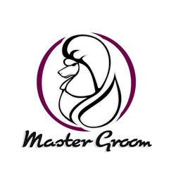 Master Groom, Braşov program de funcționare
