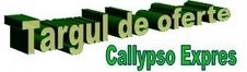 Callypso Expres, Bucureşti program de funcționare