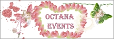 Octana Events, Snagov program de funcționare