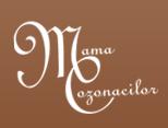 Mama Cozonacilor, Bran program de funcționare