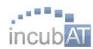Incubator de Afaceri, Sfântu Gheorghe program de funcționare