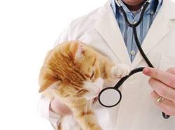 PET LIFE - Marasti, Cluj-Napoca program de funcționare