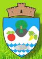 Primaria Comunei Paleu, program de funcționare