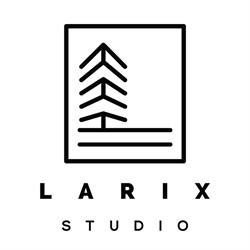 Larix Studio, Gheorgheni program de funcționare