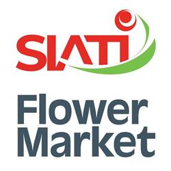 Floraria SIATI Ploiesti, Blejoi program de funcționare
