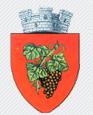 Primaria Orasului Odobesti, program de funcționare