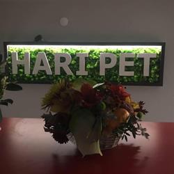 S.c. Hari Pet S.r.l., Alexandria program de funcționare