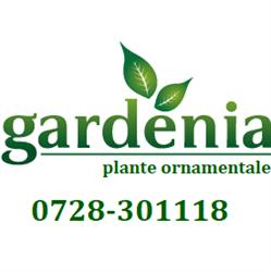 Gardenia, Timişoara program de funcționare