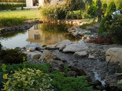 Elfi Garden, Timişoara program de funcționare