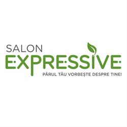 Salon Expressive, Satu Mare program de funcționare