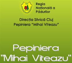 Pepiniera Mihai Viteazu, Turda program de funcționare
