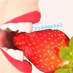 Crisdental, Floreşti program de funcționare