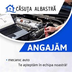 Casuta Albastra, Petroşani program de funcționare