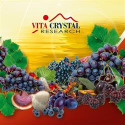 Vita Crystal Research, Miercurea-Ciuc program de funcționare