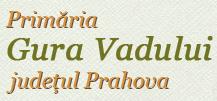 Primăria Gura Vadului, program de funcționare