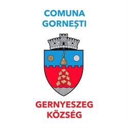 Primăria comunei Gorneşti, program de funcționare