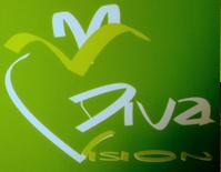 S.C. Diva Vision S.R.L., Braşov program de funcționare