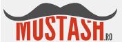 Magazin materiale pictura Mustash Bucureşti, program de funcționare