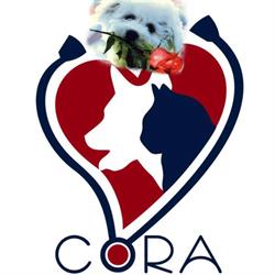 Cora vetconsult în Bucureşti, Sectorul 3 - program de funcționare
