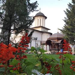 Manastirea Plumbuita, Bucureşti program de funcționare