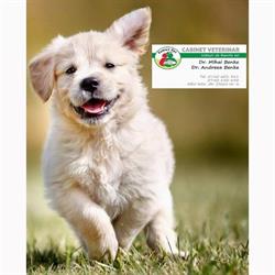 Family Vet Plus, Alba Iulia program de funcționare