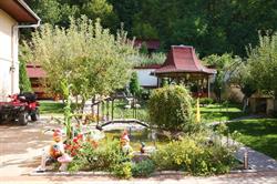 Pensiunea Cristina, Râşnov program de funcționare