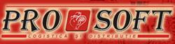 Prosoft S.r.l, Braşov program de funcționare