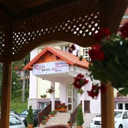 pensiunea Trandafirul, Borsec program de funcționare