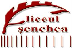 LICEUL TEHNOLOGIC Dr. IOAN ŞENCHEA FĂGĂRAŞ, Făgăraş program de funcționare
