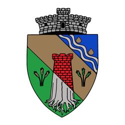 Primaria Dumbravita, program de funcționare