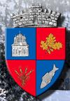 Primăria comunei Gruiu, program de funcționare