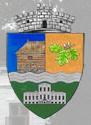 Primăria comunei Moara Vlăsiei, program de funcționare
