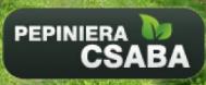 Pepiniera Csaba, Aiud program de funcționare