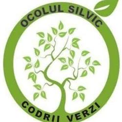 Codrii Verzi, Piteşti program de funcționare