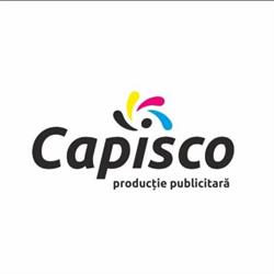 Capisco, Botoşani program de funcționare