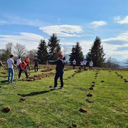 Ocolul Silvic Călimanesti, Călimăneşti program de funcționare