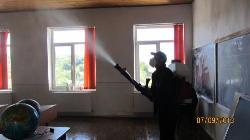 Star Styll, Târgu Frumos program de funcționare