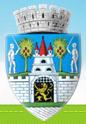 Primăria comunei Micula, program de funcționare