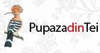 Pupaza din tei în Bucureşti, Sector 2 - program de funcționare