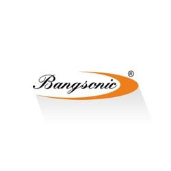 SC Bangsonic SRL, Costi program de funcționare