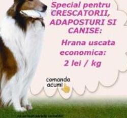 SC Dog Projects SRL, Cornu program de funcționare