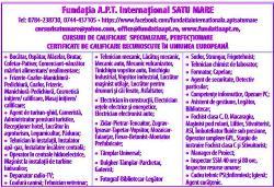 APT International, Satu Mare program de funcționare