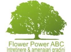 Flower Power ABC, Cluj-Napoca program de funcționare