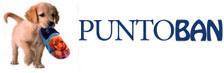 SC Puntoban SRL, Cluj-Napoca program de funcționare