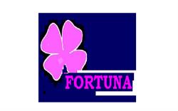 Scoala Postliceala Fortuna, Ploieşti program de funcționare