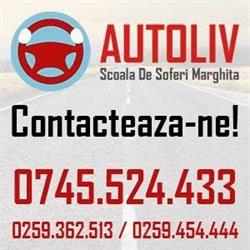 AUTOLIV S.R.L., Marghita program de funcționare