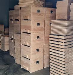 APIS MELLIFERA S.R.L., Curtea de Argeş program de funcționare