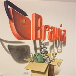 BRAVIA TOTAL S.R.L., Arad program de funcționare