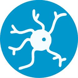NEURONIC TRADE S.R.L., Timişoara program de funcționare