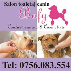 Sc Bafy Serv Srl, Arad program de funcționare